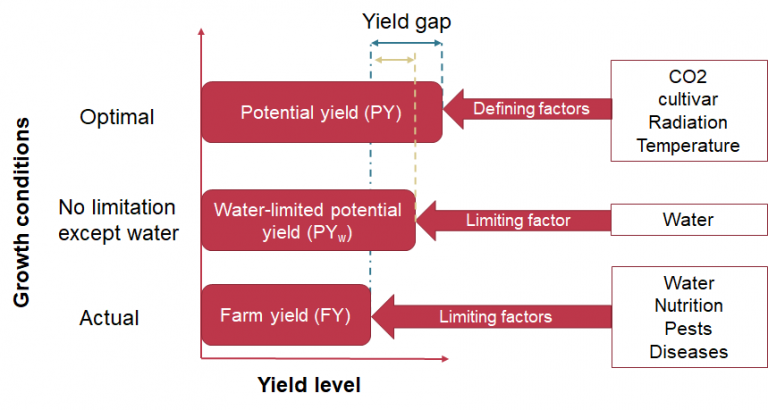 What is the yield gap? How to calculate the yield gap?