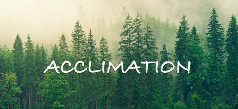 The timescale of plant acclimation