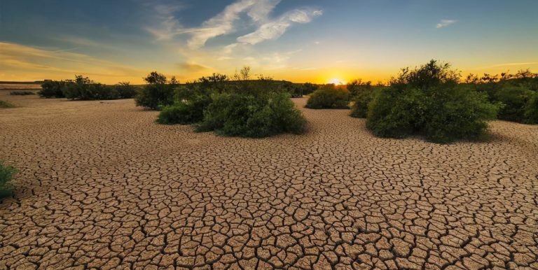 Understanding the effects of dryness stress on vegetation production